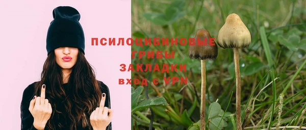 синтетический гашиш Богородск