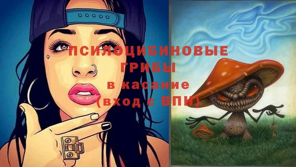 MDMA Premium VHQ Богородицк